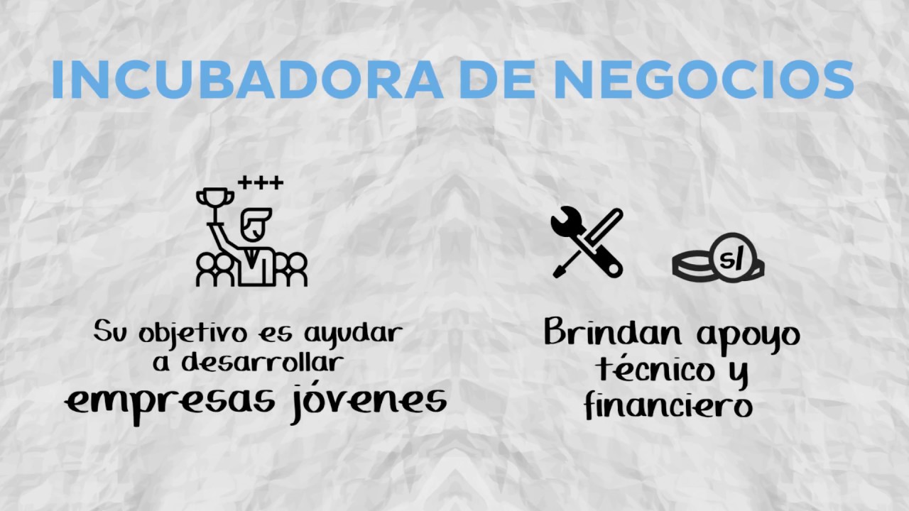 INCUBADORA DE NEGOCIOS